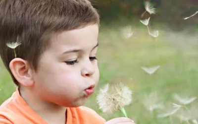 Hochbegabte Kinder in der Kita