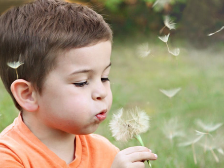 Hochbegabte Kinder in der Kita